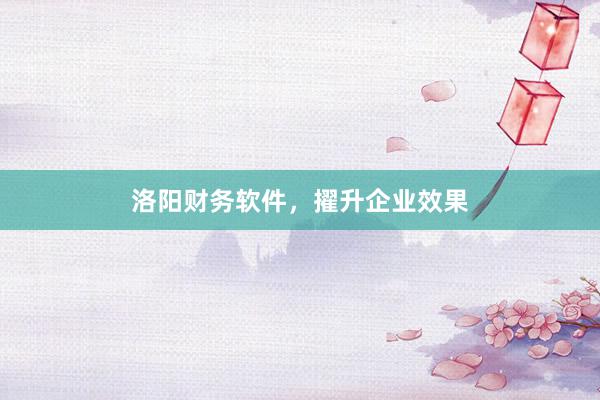 洛阳财务软件，擢升企业效果